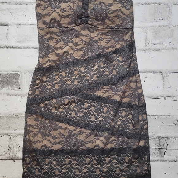 ARK & Co Grey And Nude Lace Dress - Picture 5 of 6
